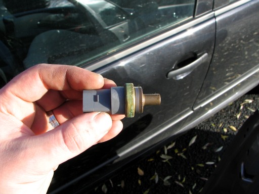 cts7.jpg